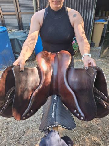 Selle mixte semi creuse 17" antares