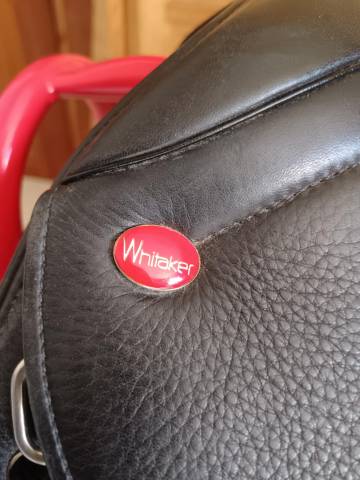 John Whitaker Selle de Dressage poney Modèle "Highgate"
