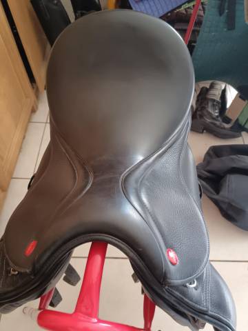 John Whitaker Selle de Dressage poney Modèle "Highgate"