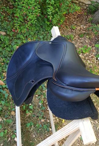 Selle Antarès neuve cso modèle Evolution 