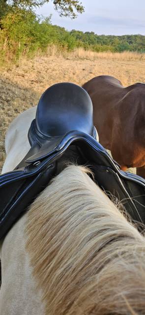 Selle de dressage 17,5   prix cassé 