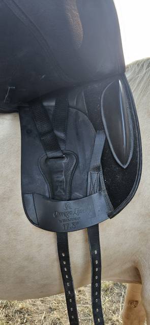 Selle de dressage 17,5   prix cassé 