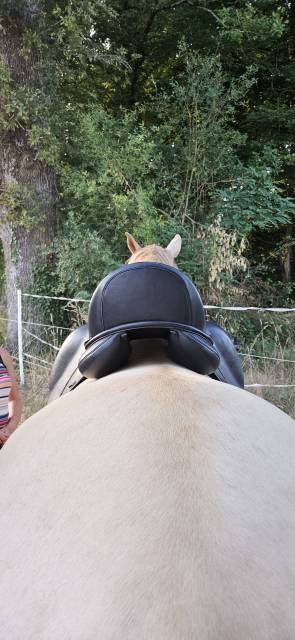 Selle de dressage 17,5   prix cassé 