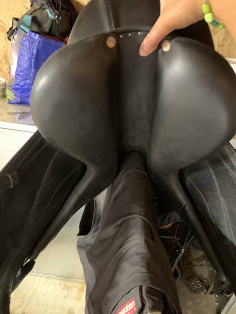 Selle dressage antares cadence 2017