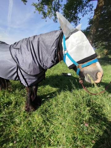 Couverture anti mouche avec couvre cou 