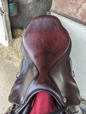 Selle mixte / obstacle CWD