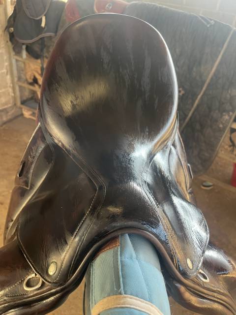 Selle de dressage 