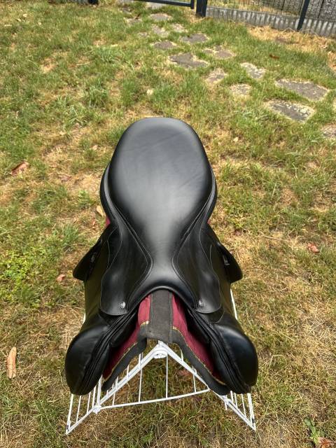 Selle Arion C2 17.5” – 2024 – Très bon état