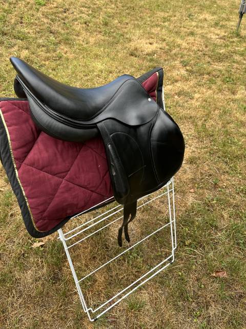 Selle Arion C2 17.5” – 2024 – Très bon état