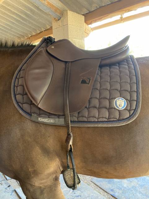 Salle CSO Childeric 17,5