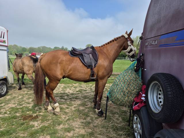 Selle CWD SE03 fin 2024