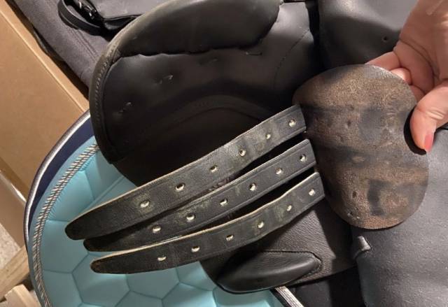 Selle &Eacute;ric Thomas 