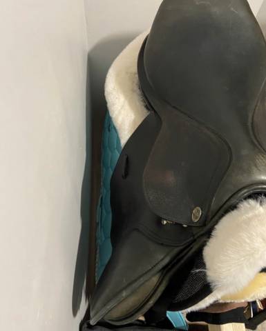 Selle &Eacute;ric Thomas 