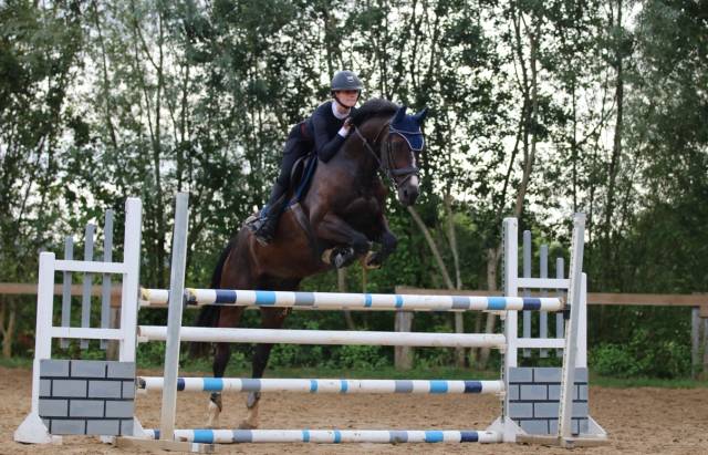 Cheval Amateur