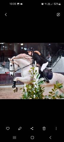 Cheval cso