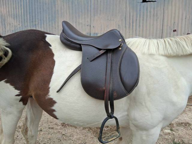 Selle tdt mixte 17,5