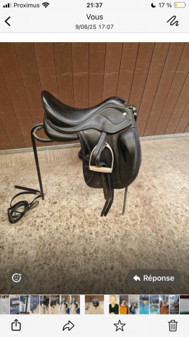 Selle ikonic évolution