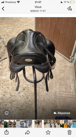 Selle ikonic évolution