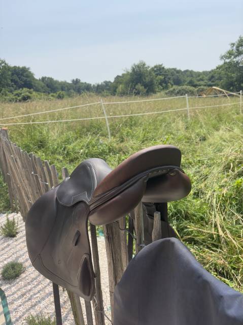 Selle Antares Monoquartier 