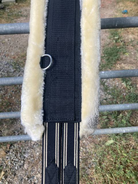 Sangle back on track 