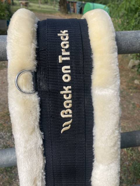 Sangle back on track 