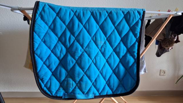 Tapis de dressage