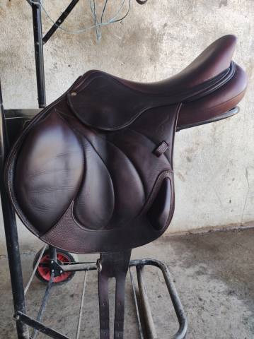 Selle monoquartier Antares 17p