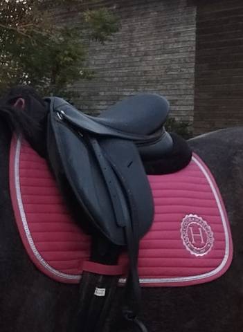 Tapis de selle Harcourt 
