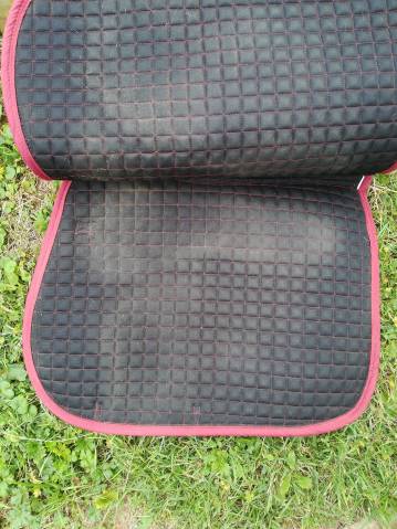 Tapis bordeaux riding world