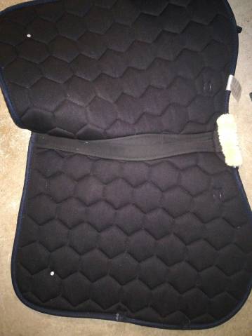 Tapis magnifique Felix buhler