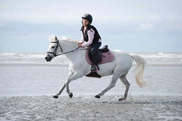 Ponette polyvalente 1m15