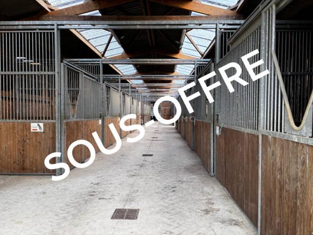 Haras Fonctionnel et Moderne pour Projet &Eacute;questre