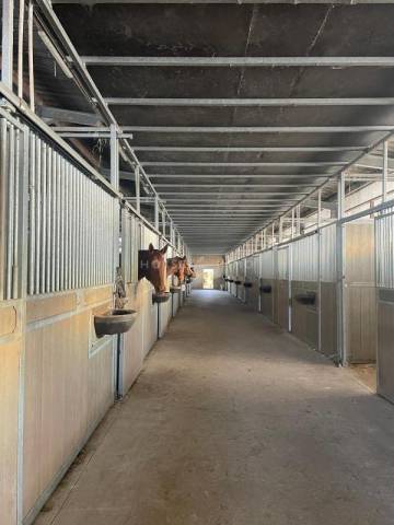 Haras de Reproduction Cl&eacute; en Main sur 52 ha dans le Morbihan (5