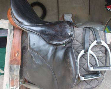 Selle dressage Stubben