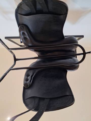 Selle de dressage 16,5  Time Rider (New Era Stationata) 