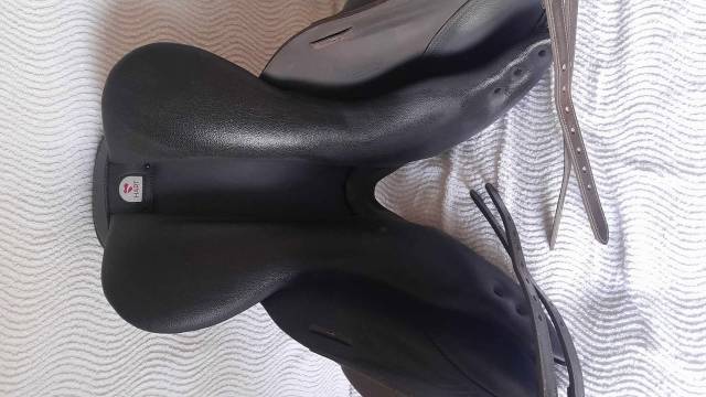 Selle Arena Monoquartier