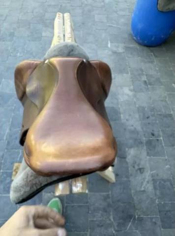 Selle Junior Forestier 15,5"