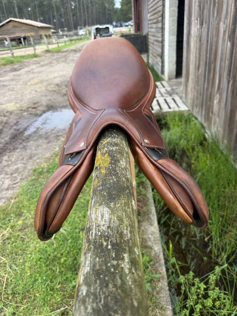 Selle jumping Arion Sellier cso 