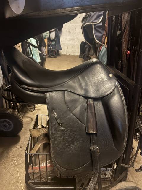 Selle dressage beloir