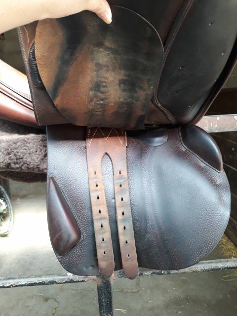 Selle Delgrange modèle partition 17.5