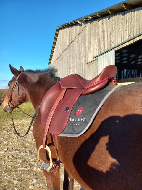 Selle dressage Meyer 