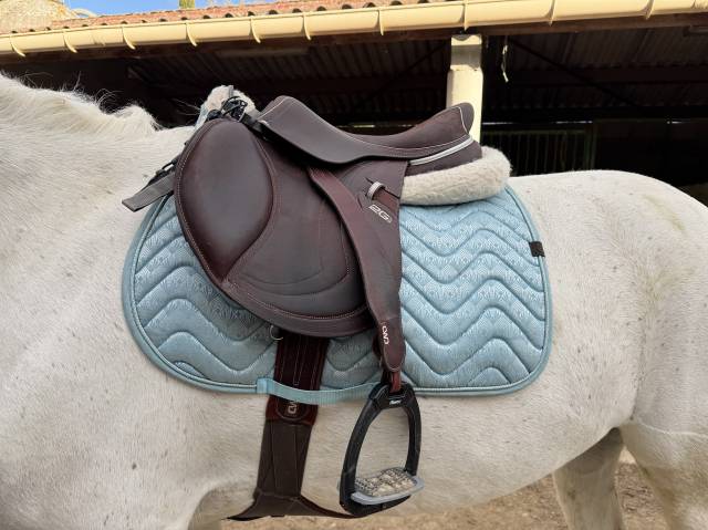 Magnifique selle CWD 17p 