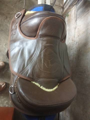 Selle sans arçon 