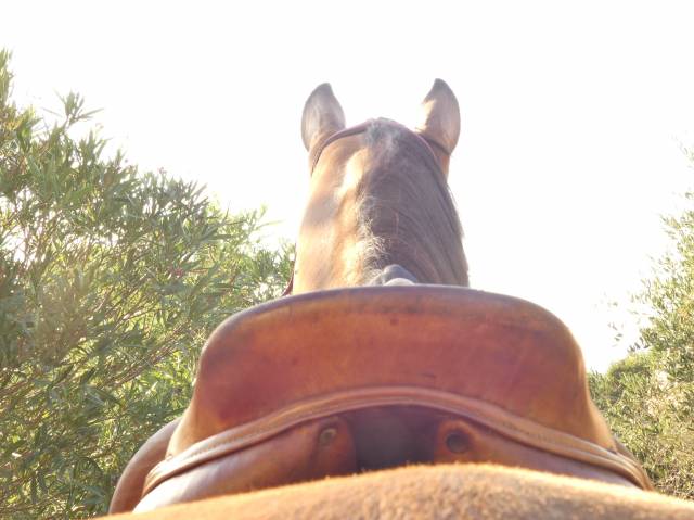 Selle monoquartier  HENRI DE RIVEL 