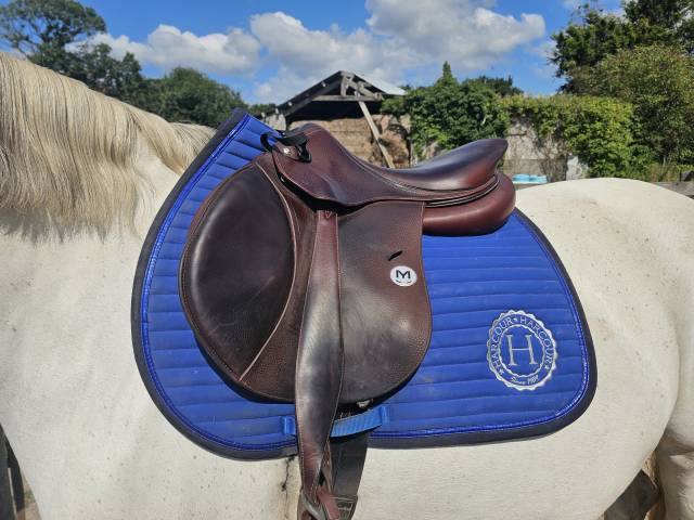 Selle Meyer modèle Marianne 17.5" 