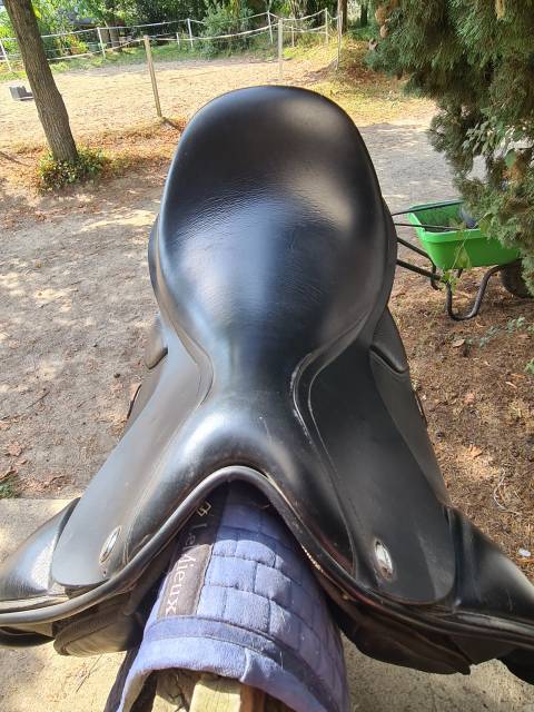 Selle thorowgood dressage haut garrot 17,5"