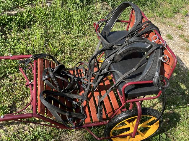 Voiture attelage - tilbury pour poney