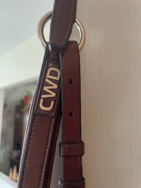 Collier de chasse CWD