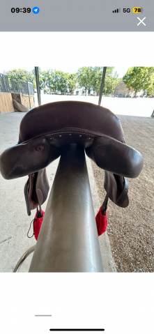 Selle forestier Séoul 