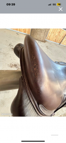 Selle forestier Séoul 